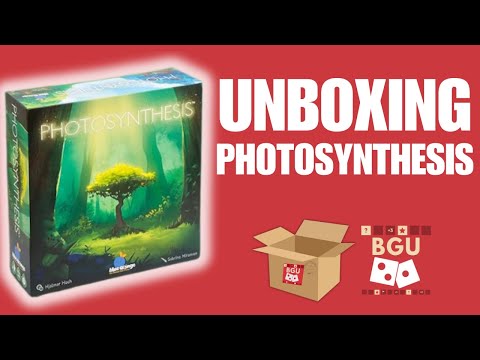 Photosynthesis Board Game Unboxed