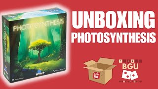 Photosynthesis Board Game Unboxed