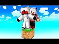 Minecraft But Its ONLY ONE BLOCK!!