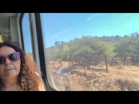 EFE Valparaíso | X'Trapolis 100 XT-06 | Limache - El Belloto