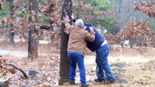 Plumbers Razing Rotten Tree