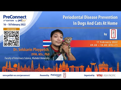 Periodontal Disease Prevention in Dogs and Cats at Home