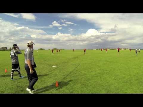 Cobra Kai vs GarGyles