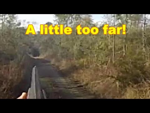 Fun Buck Race, Long Miss  || Deer Dog Hunting 2018