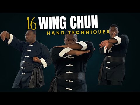 The 16 Hand Techniques of Wing Chun #wingchun #kungfu #martialarts
