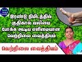 Kuthikal Vali Maruthuvam in Tamil - Kuthikal Vali Remedies - Kuthikal Vali Patti Vaithiyam Kuthikal Vali Maruthuvam in Tamil - Kuthikal Vali Remedies - Kuthikal Vali Patti Vaithiyam