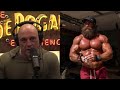 Joe Rogan On Liver King