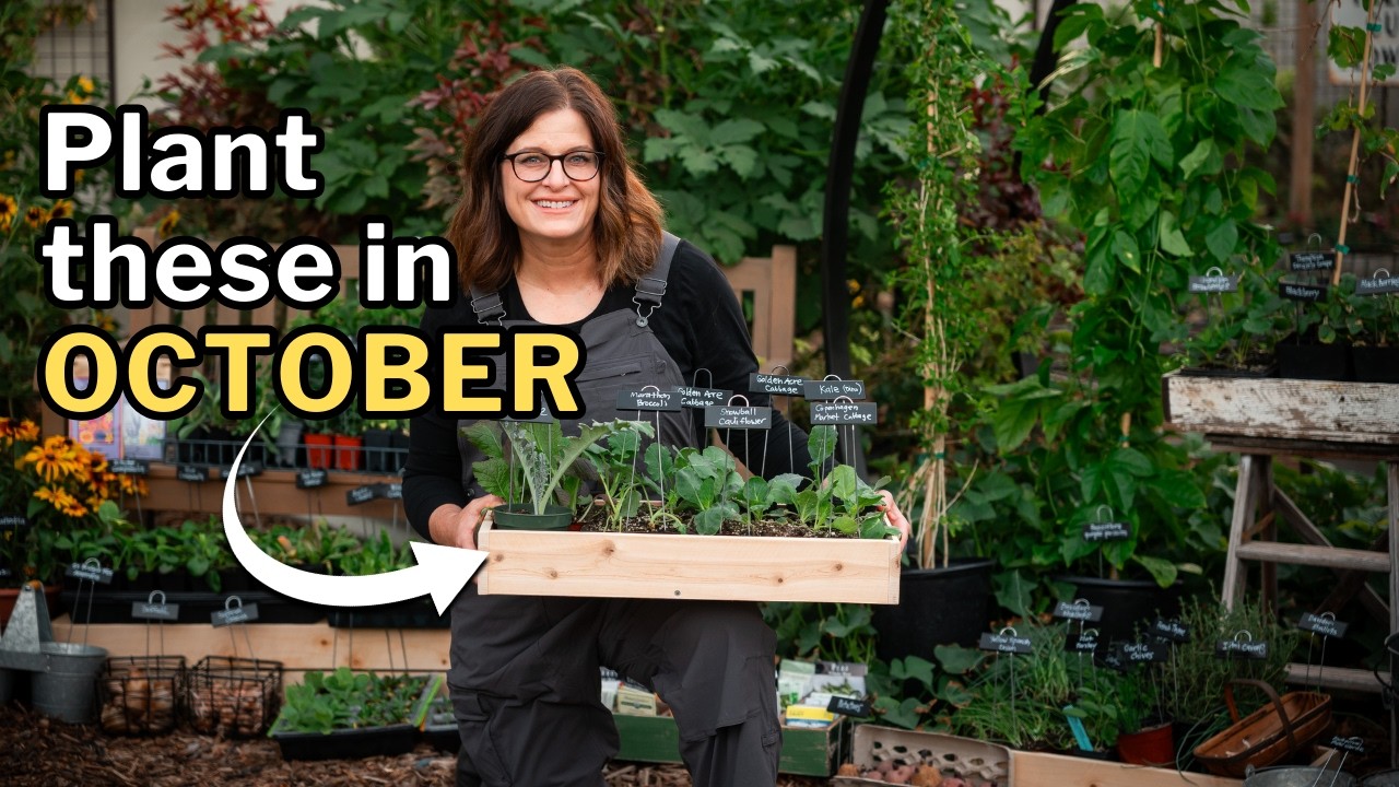 OCTOBER PLANTING GUIDE: Top Veggies, Flowers, and Herbs for Your Fall Garden