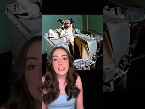 SAD SPACE STORY: Laika the Space Dog #spacefacts #astronomy #space #womeninstem