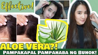 I USED ALOE VERA FOR HAIR LOSS, DRY AND DAMAGED HAIR | EFFECTIVE PAMPATUBO PAMPAKAPAL NG BUHOK