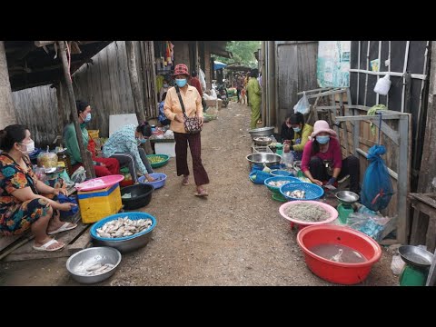 Rural Food Market in The Morning - Phsa Chom Noam Mongul Borey Banteay Meanchey Province