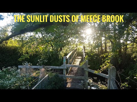 Trains, Sunlight & Shadows, The Sunlit Dusts of Meece Brook, WCML, 20.5.2020 6-8.30pm