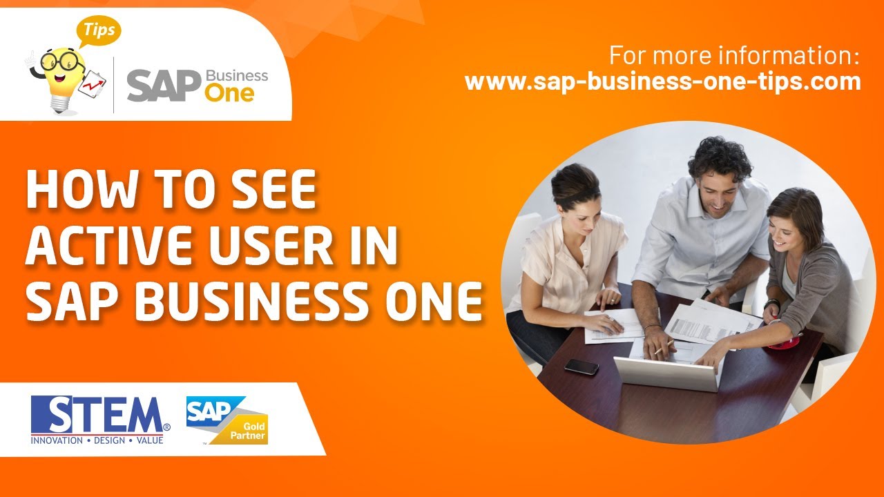 How to Check Active Users in SAP Business One