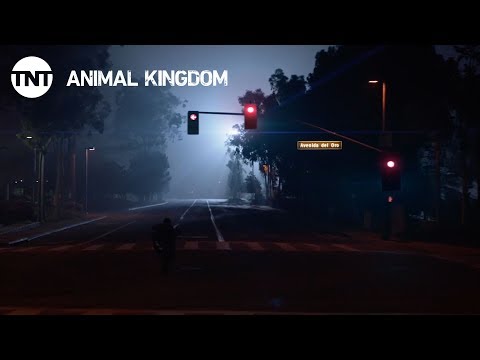 Animal Kingdom: It Looks Good - Season 2, Ep. 5 [CLIP] | TNT