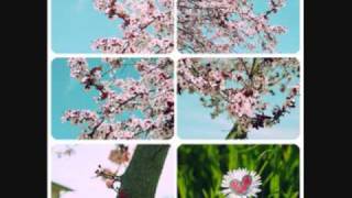 Kate Walsh Your Song *with lyrics*