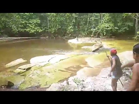 Sereia é Encontrada Viva em Manaus