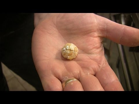 How to Make Homemade Boilies for Carp Fishing