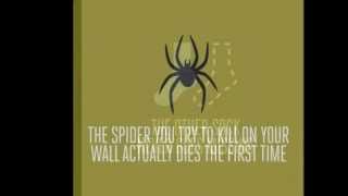 Perfect World - The Random Dog Band - Video