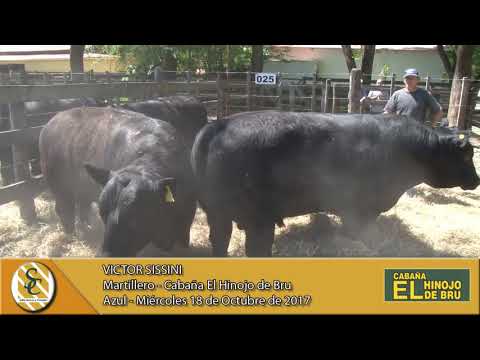 18-10-17 Nota Victor Sissini - Cabaña El Hinojo de Bru - Azul