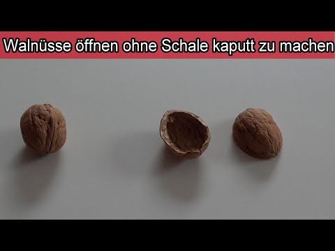Walnüsse knacken OHNE Bruch – Anleitung Walnuß öffnen ohne zu beschädigen – Bastel Tipp