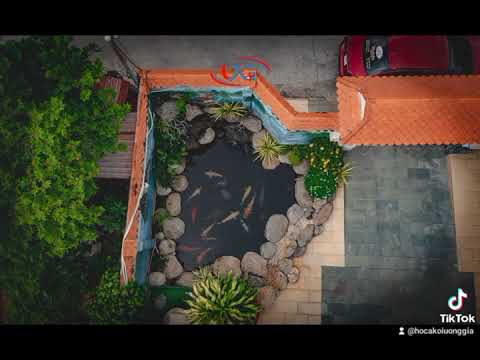 Thi công hồ Koi tại P. Tân Phong