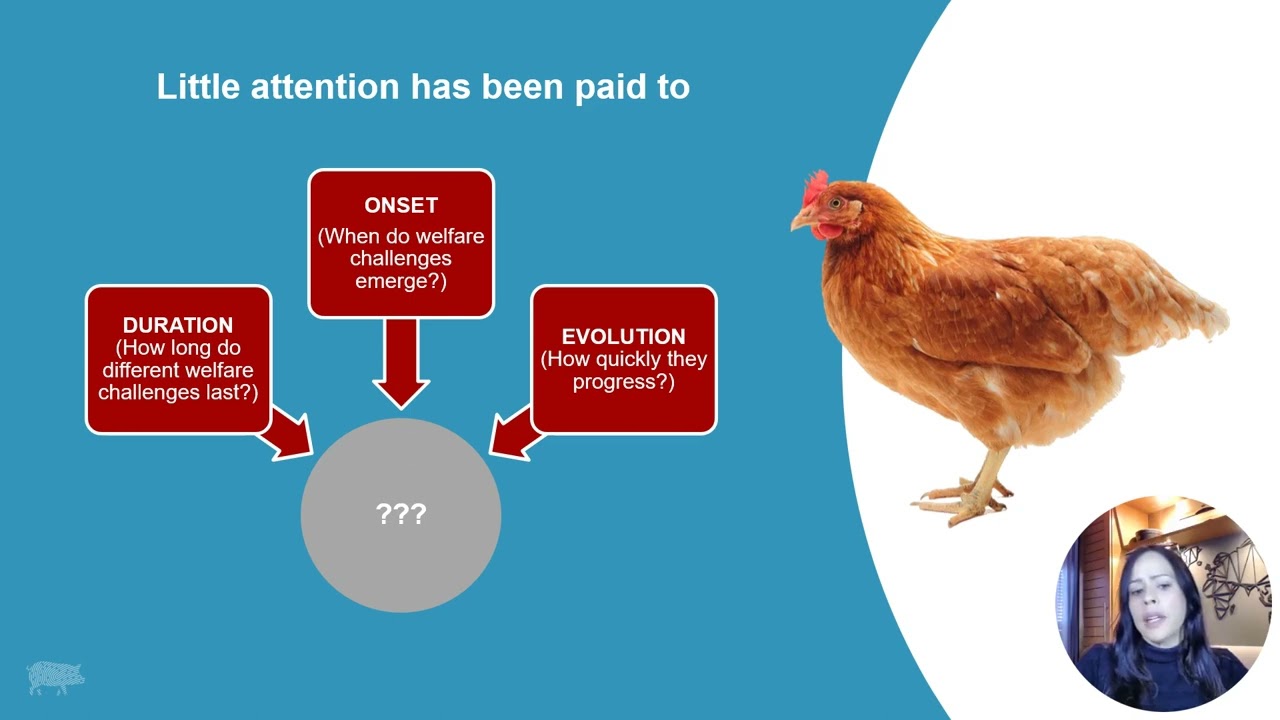 Animal Welfare Science Must Look at Time!