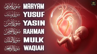 Download lagu Pregnancy Quran Surah Full Of Noor | Surah Maryam,Yusuf,Yasin,Mulk | Faith And Devotion For Mothers mp3