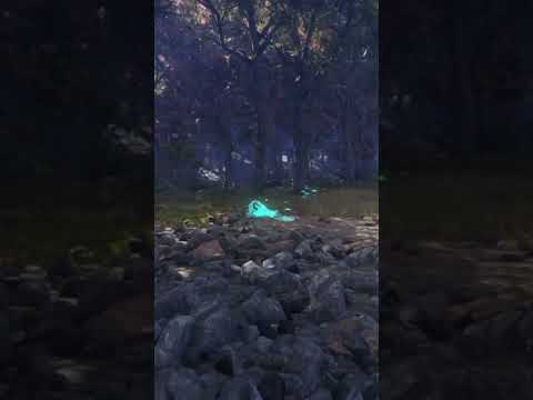 Bengal Tiger Instant Kill Thehunter Call Of The Wild Short