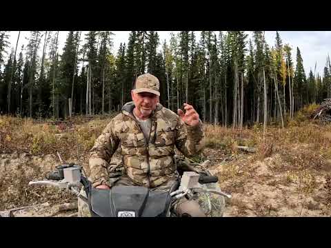 New Sasquatch Reports And A Fifty Thousand Dollar Reward  From ME