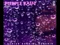 Purple Rain (Prince) Darius Gabriel Bugarin Cover ...
