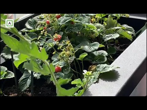 2021 Dag 189 | Siste hele dagen i Malmø