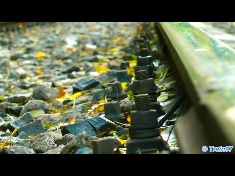 Autumn Trainspotting in Apuseni Mountains - Trailer