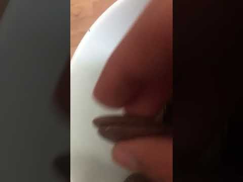 Cadbury mega buttons