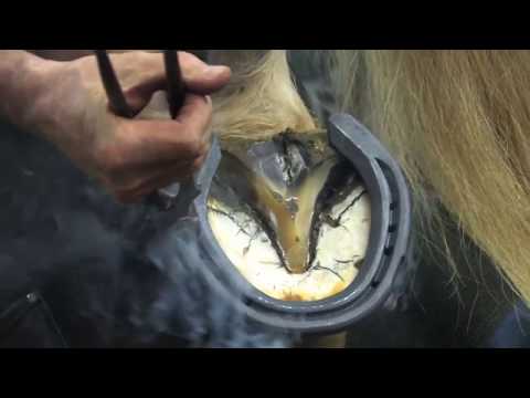 Slide 8 - WH 5 Front 32x12 1/Clip  (video)