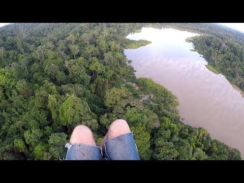 SAVING FOREST USING PARAMOTOR IN BORNEO !!!