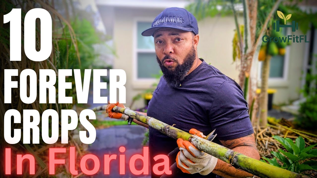 Forever Crops: 10 Perennial Plants to Grow