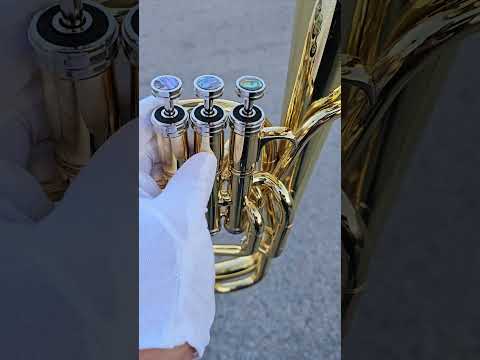 JP Solario Pakal 421 Lacquer  Alto Horn - (8.50" Big Bell) image 19