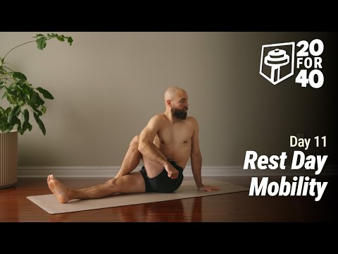 40 Day Bodyweight Fitness Challenge | No Talking, All Levels || Day 11 - Rest Day Mobility