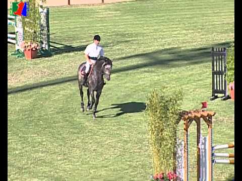 Call Me Liberty 5 year Old Holstein approved stallion from Clarimo x Quantum