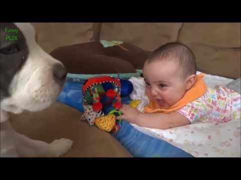 Puppies and Babies Playing Together Compilation 2014   YouTube