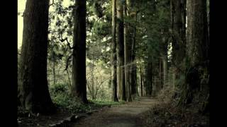 Ethereal Soul - Creatures Of The Night