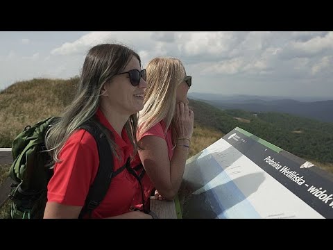 Discover Podkarpackie: Bieszczady hikes, traditional cuisine and Renaissance castle in Poland