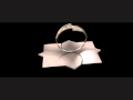 Animation Wmv
