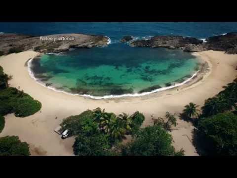 Esto es Puerto Rico: Mar Chiquita, Manatí 4K