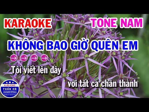 Karaoke Không Bao Giờ Quên Em | Nhạc Sống Beat Nam Tuấn Cò