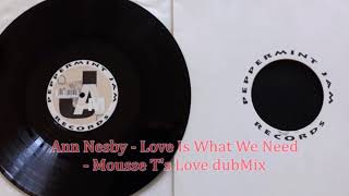 Ann Nesby - Love Is What We Need - Mousse T&#39;s Love dub
