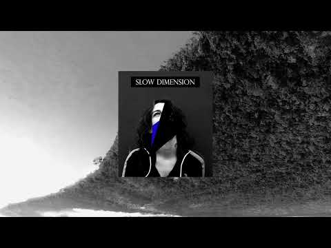 SLOW DIMENSION - LOST AREA I Dub Techno Mix I #005 (LAM005)
