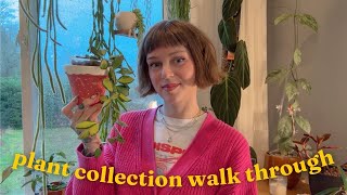 walk through my indoor jungle in december 🌿🎄 repot updates, anthurium catastrophe, & blooms 