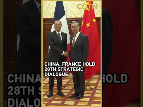 China, France hold 28th strategic dialogue