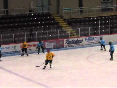 Hudsons Furniture vs Woodstock Ford - Sat Feb 5, 2011 - Part 1 (full game)